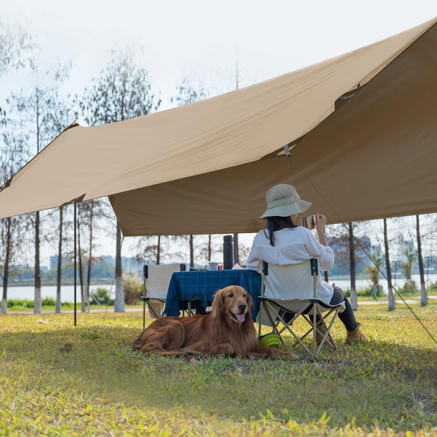 Camping Canopies And Awnings